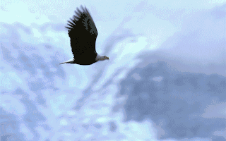 基金最新动向：走访这13家公司